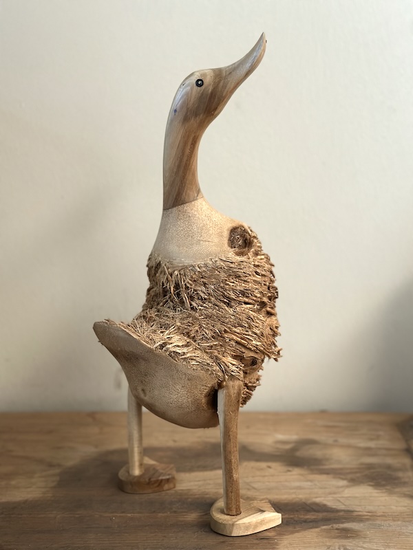 Pato con Plumas